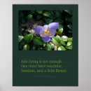 Suche nach krokus poster Pflanzen
