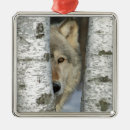 Suche nach grauer wolf ornamente Tiere