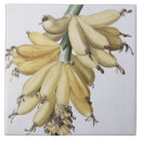 Suche nach redoute fliesen Joseph