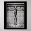 Suche nach vitruvian poster Vitruist