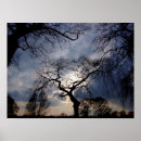 Suche nach mystisch poster Nacht