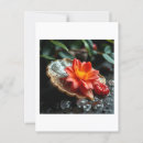 Suche nach zen postkarten Lotus