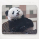 Suche nach lustiger panda mousepads Liebe