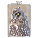 Suche nach eulen flachmänner Raubvogel