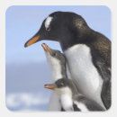 Suche nach gentoo aufkleber Kolonie
