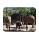Suche nach zootiere magnete Elefanten