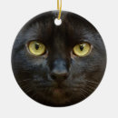 Suche nach schwarze miezekatze ornamente Katzenartig