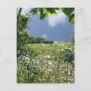 Suche nach wildflowers postkarten Landscape