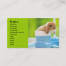 Suche nach bunny visitenkarten Blau
