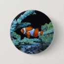 Suche nach clownfische buttons Unterwasser