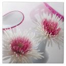 Suche nach chrysanthemen fliesen Stillleben