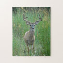 Suche nach antlers puzzle Tier