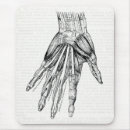 Suche nach muskeln mousepads Anatomie