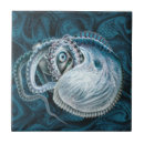 Suche nach nautilus fliesen Meer