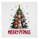 Suche nach pitbulls poster Wolf