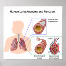 Suche nach menschliche lungen poster Gesundheitswesen