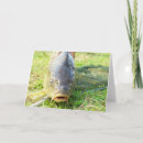 Suche nach karpfen andere karten Fisch