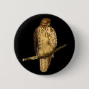 Suche nach falke buttons Vögel