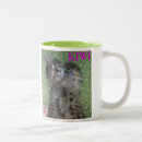 Suche nach manx tassen Kätzchen