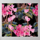 Suche nach cyclamen poster Aquarell