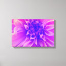 Suche nach lila blumen leinwandbilder Rosa