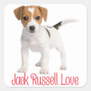 Suche nach jack russells aufkleber Welpe