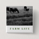 Suche nach kalb buttons Kälber