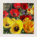 Suche nach rote tulpen puzzle Botanisch