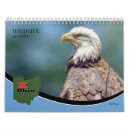 Suche nach käfer kalender Jede person