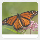 Suche nach lebensraum aufkleber Hinterhof