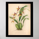 Suche nach lila blume poster Gelb