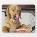 Suche nach lecken sie mousepads Nahrung