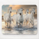 Suche nach weiße pferde mousepads Wildpferde