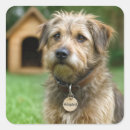 Suche nach hundehütte aufkleber Für alle