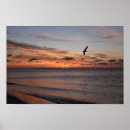 Suche nach aufgehende sonne poster Sonnenaufgang