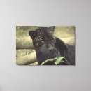 Suche nach panther kunst Schön