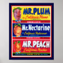 Suche nach vintage frucht poster Obst