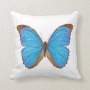 Suche nach morpho schmetterling Weiß
