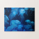 Suche nach quallen puzzle Meereslebewesen