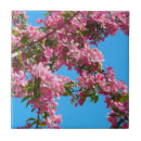 Suche nach rosa himmel fliesen Sommer
