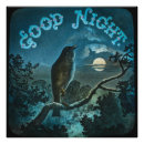 Suche nach vintage vögel poster Vogel