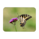 Suche nach entomologie karten Schmetterling