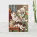 Suche nach leere katze karten Katzen