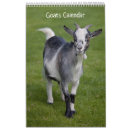 Suche nach ziege kalender Bauernhof