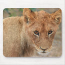 Suche nach fleisch fressendes tier mousepads Afrika