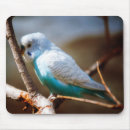Suche nach parakeet mousepads Wild