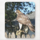 Suche nach beobachter mousepads Vogelvogel