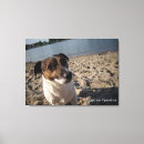 Suche nach russell leinwandbilder Hund