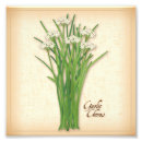 Suche nach knoblauch poster Kochen