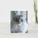 Suche nach cat fotokarten Jede person
